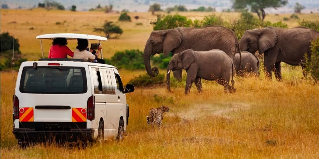 Maasai Mara Overland Truck Party
