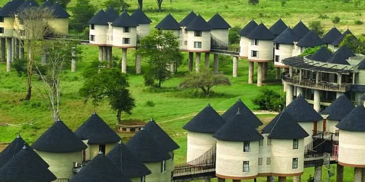 Salt Lick Madaraka Express